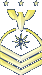 Vice Commander in Chief