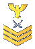 Lieutenant Kernel